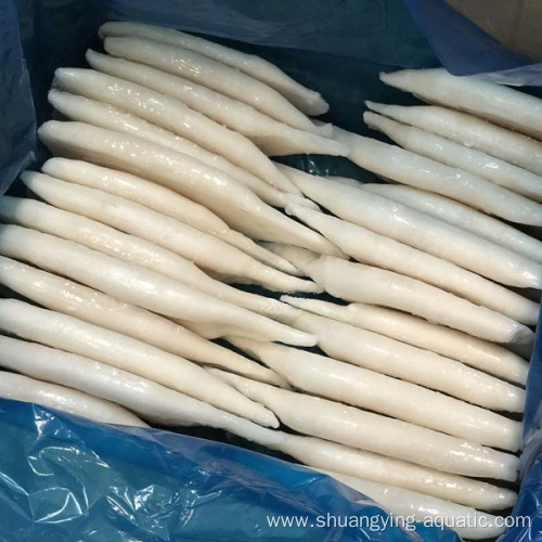 Frozen Calamari Squid Tube U7 U5 Well Treated